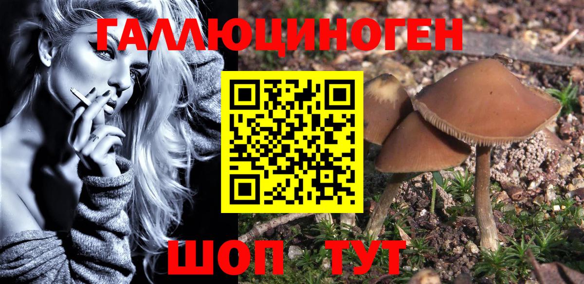 магазин  наркотиков  Вход с VPN  Аксай  Псилоцибиновые грибы Psilocybe  Галлюциногенные грибы MAGIC MUSHROOMS 